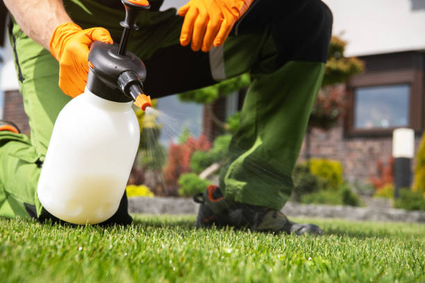 Best Commercial Pest Control Services  in Cottonwood Shores, TX