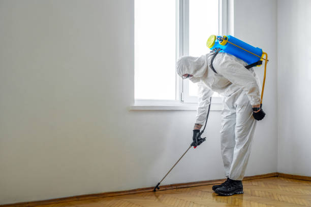 Best Emergency Pest Control  in Cottonwood Shores, TX