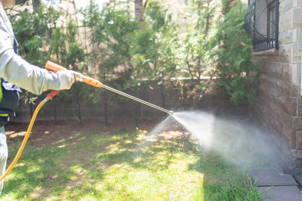 Best Best Pest Control Companies  in Cottonwood Shores, TX