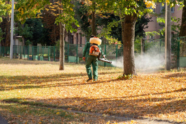 Best Best Pest Control Companies  in Cottonwood Shores, TX