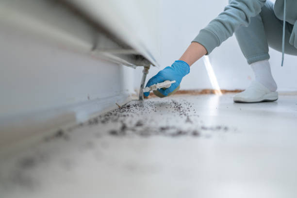 Best Affordable Pest Control Services  in Cottonwood Shores, TX